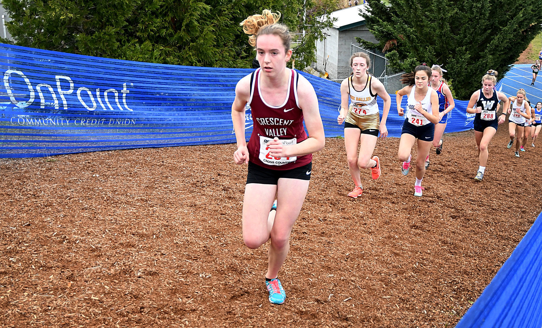 11-10-2019 5A Girls Cross Country 10.jpg